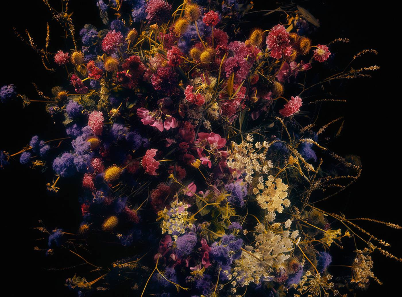 Moody Palette - Original & Limited Edition Art at Tappan