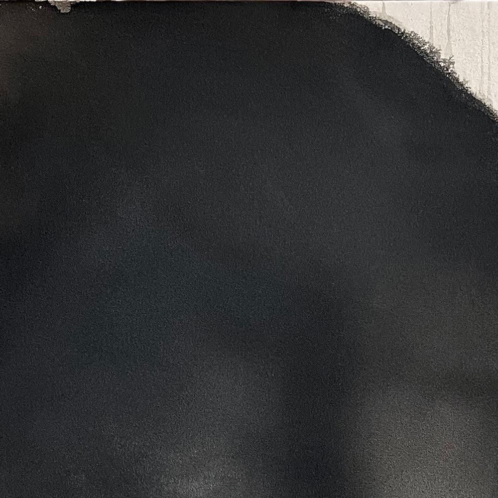 Painting by Ali Enache