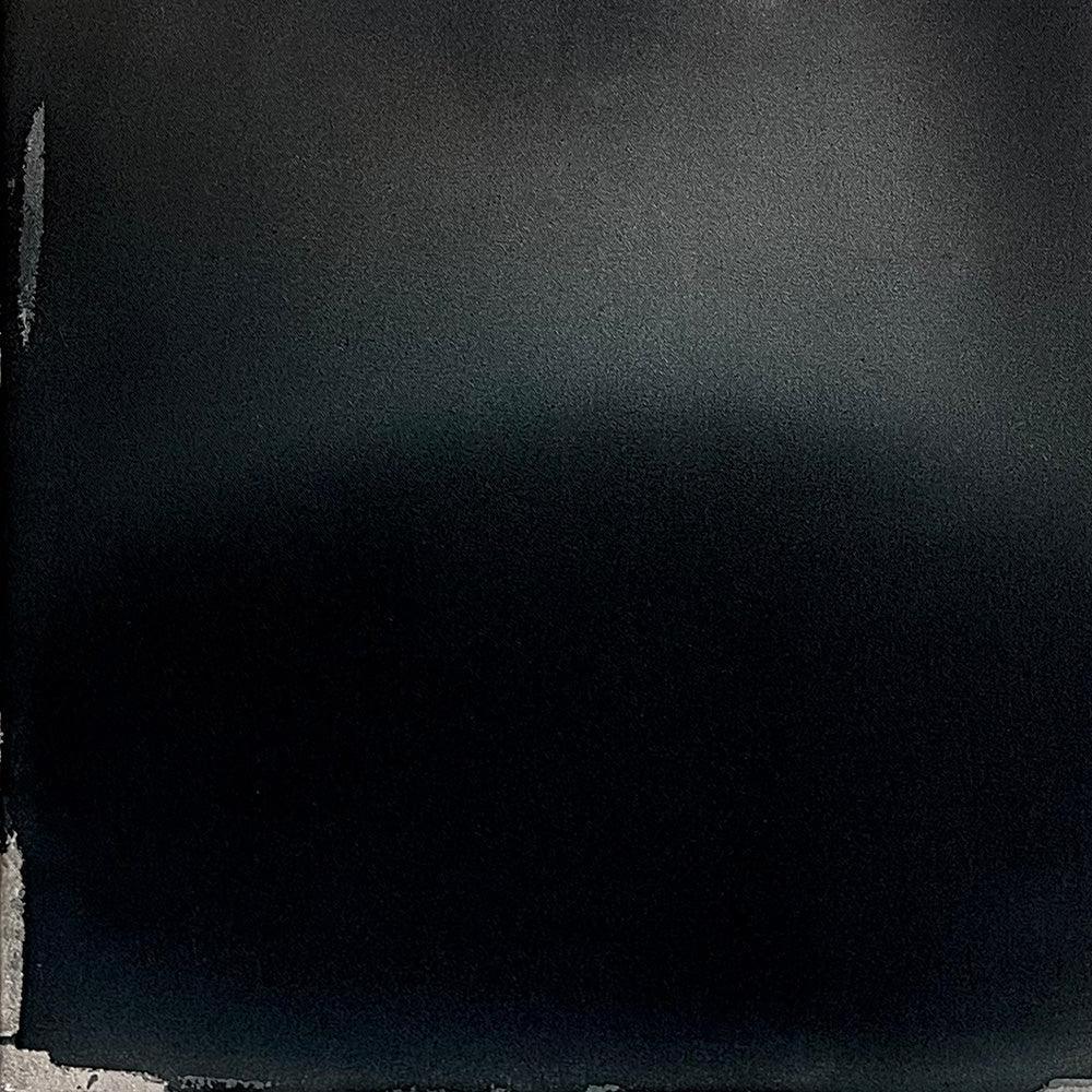 Painting by Ali Enache