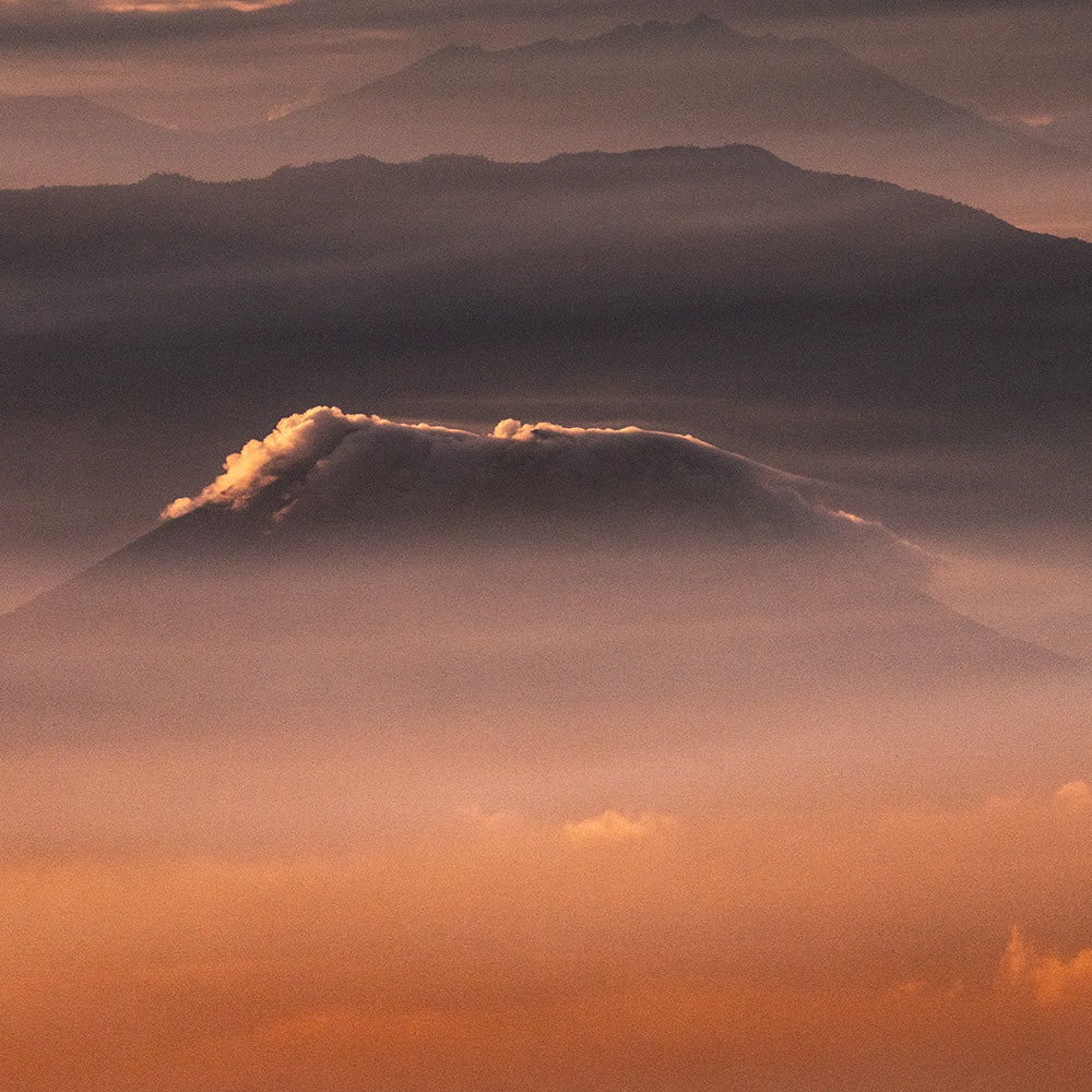 Photograph by Brian Merriam