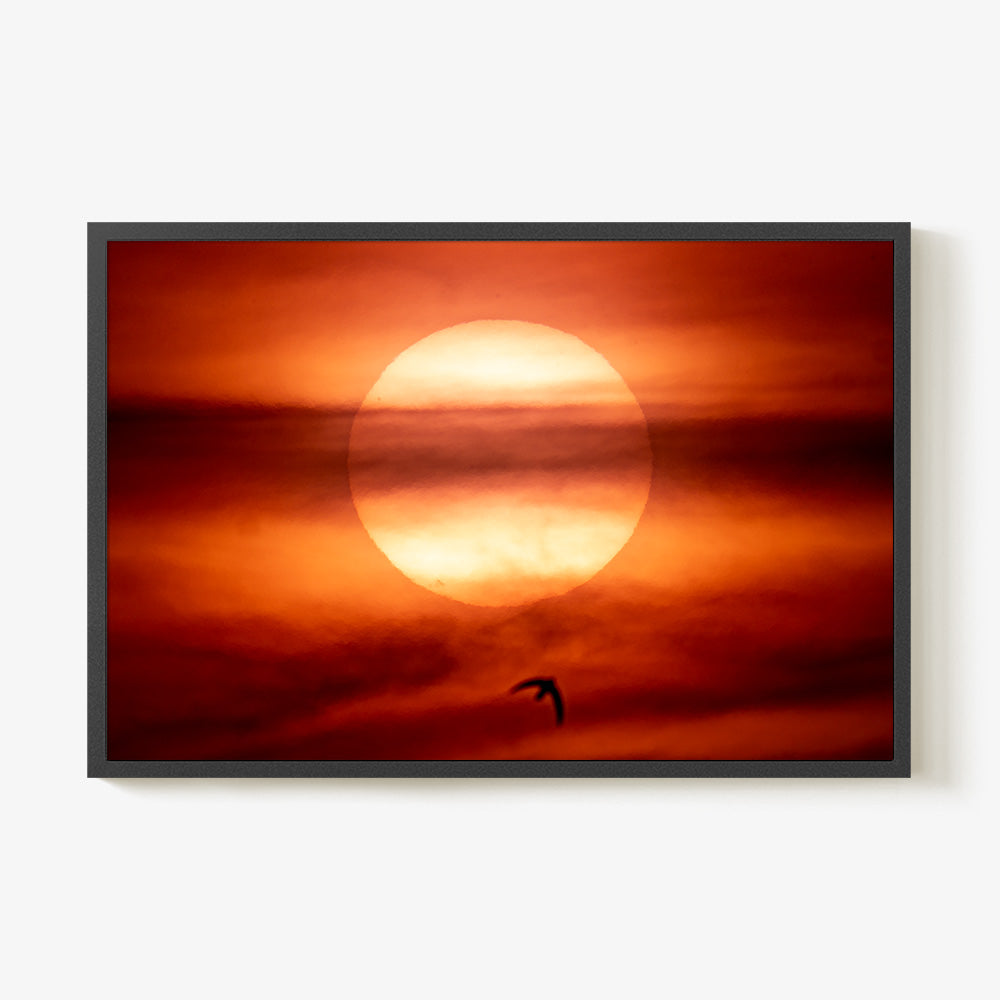 Photograph by Brian Merriam