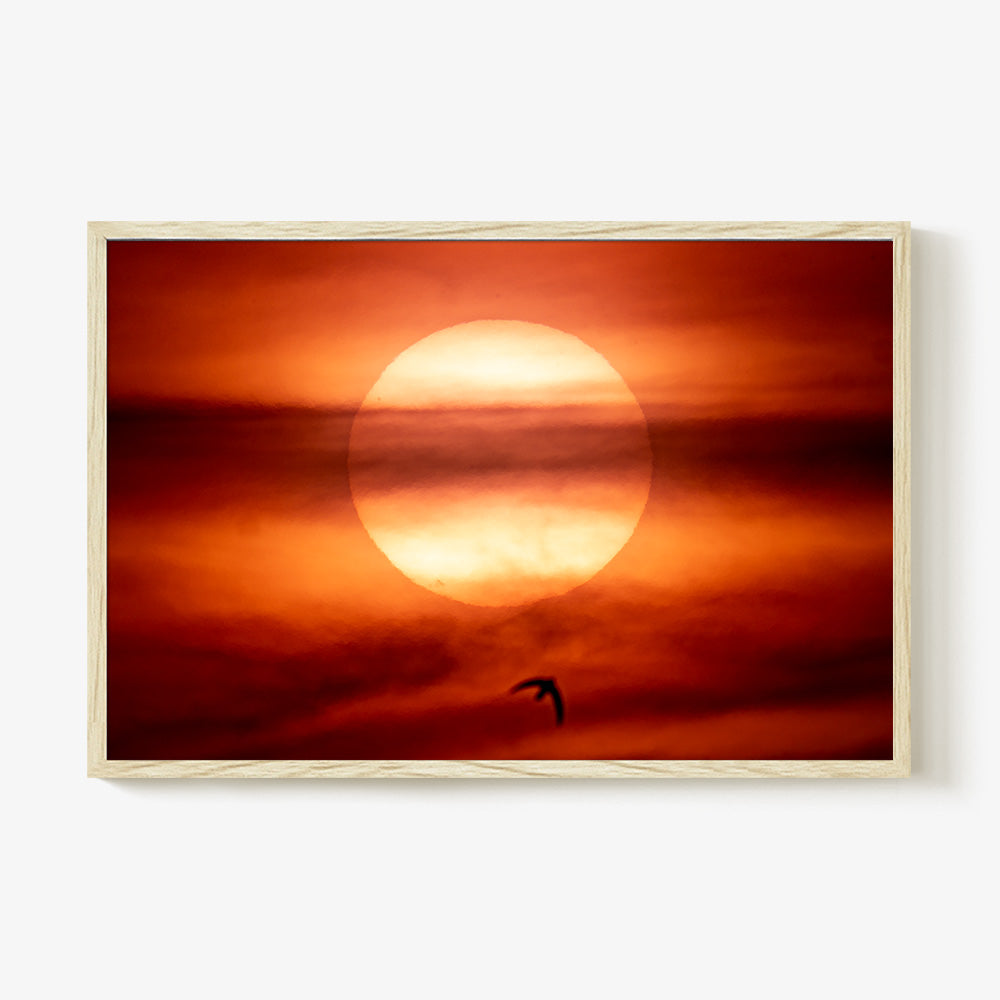 Photograph by Brian Merriam