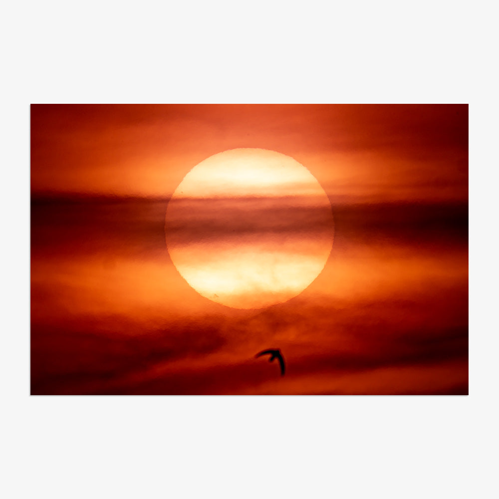 Photograph by Brian Merriam