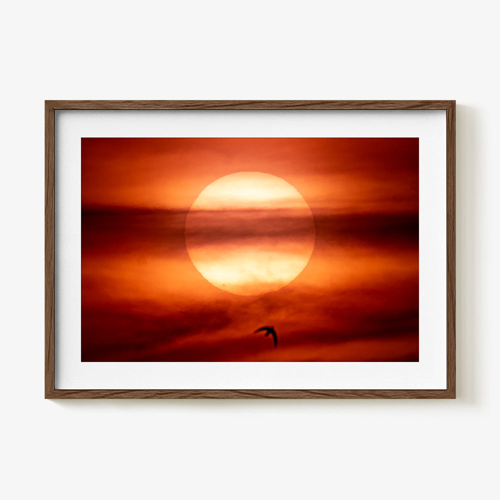 Photograph by Brian Merriam