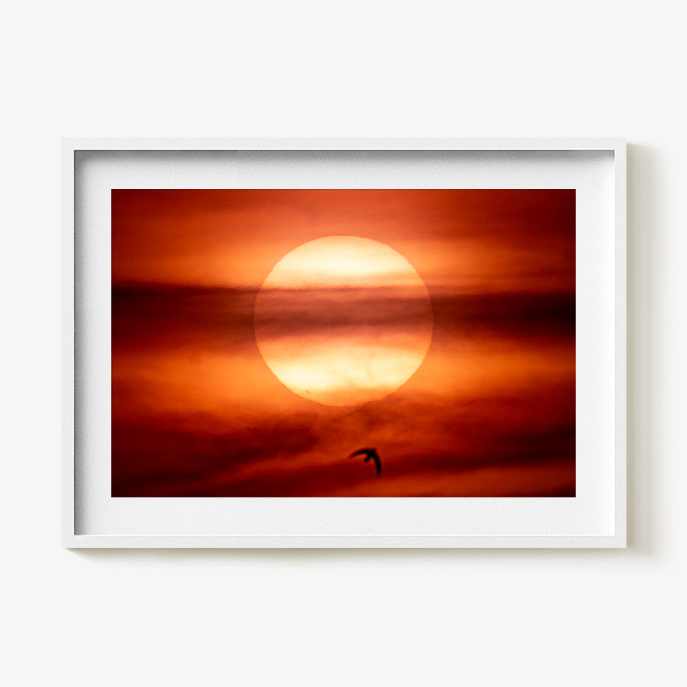 Photograph by Brian Merriam