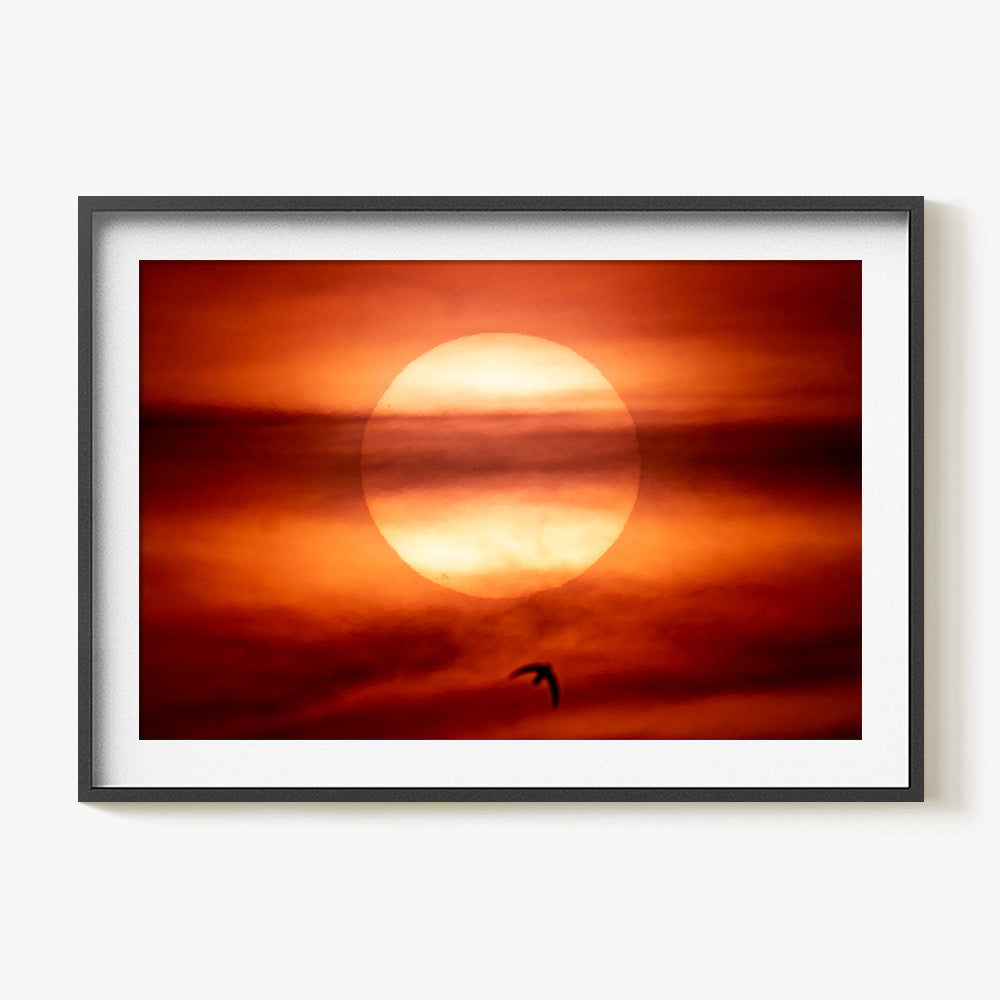 Photograph by Brian Merriam