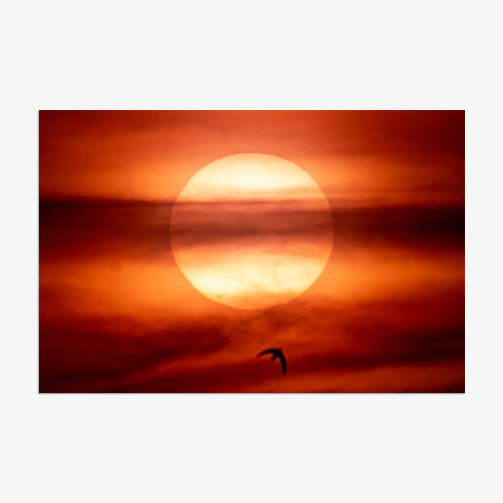 Photograph by Brian Merriam