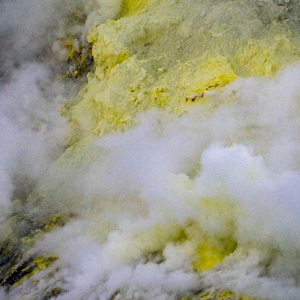 Photograph by Brian Merriam