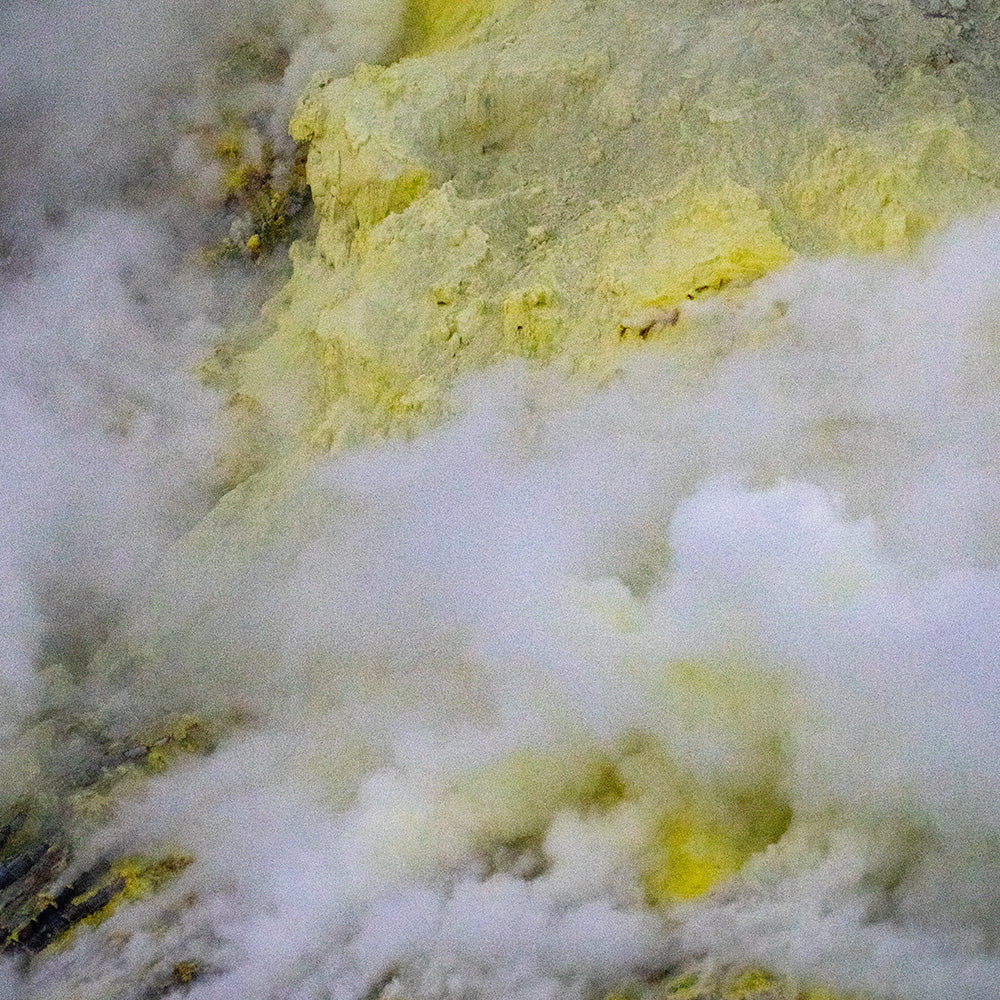 Photograph by Brian Merriam