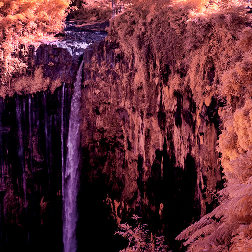 Photograph by Brian Merriam