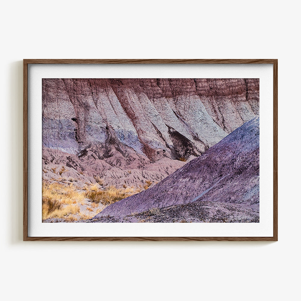 Photograph by Brian Merriam