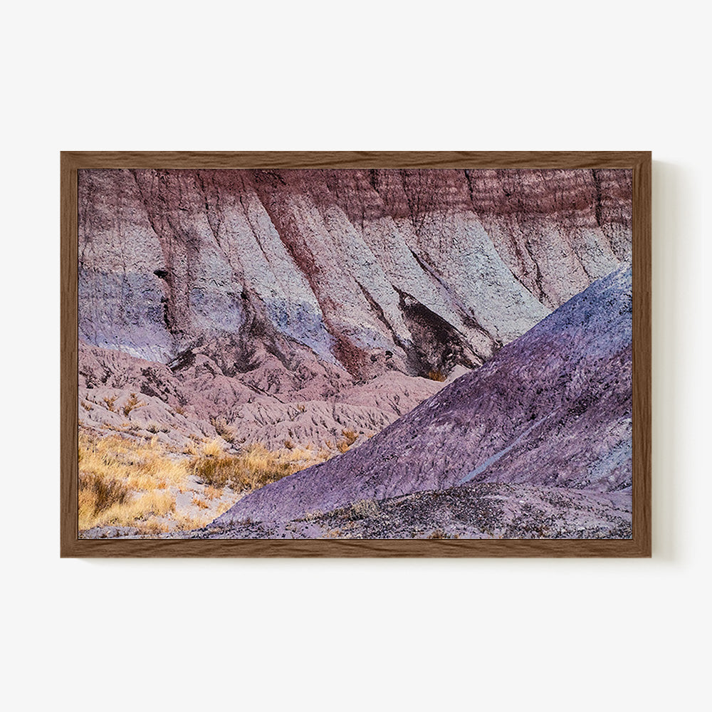 Photograph by Brian Merriam