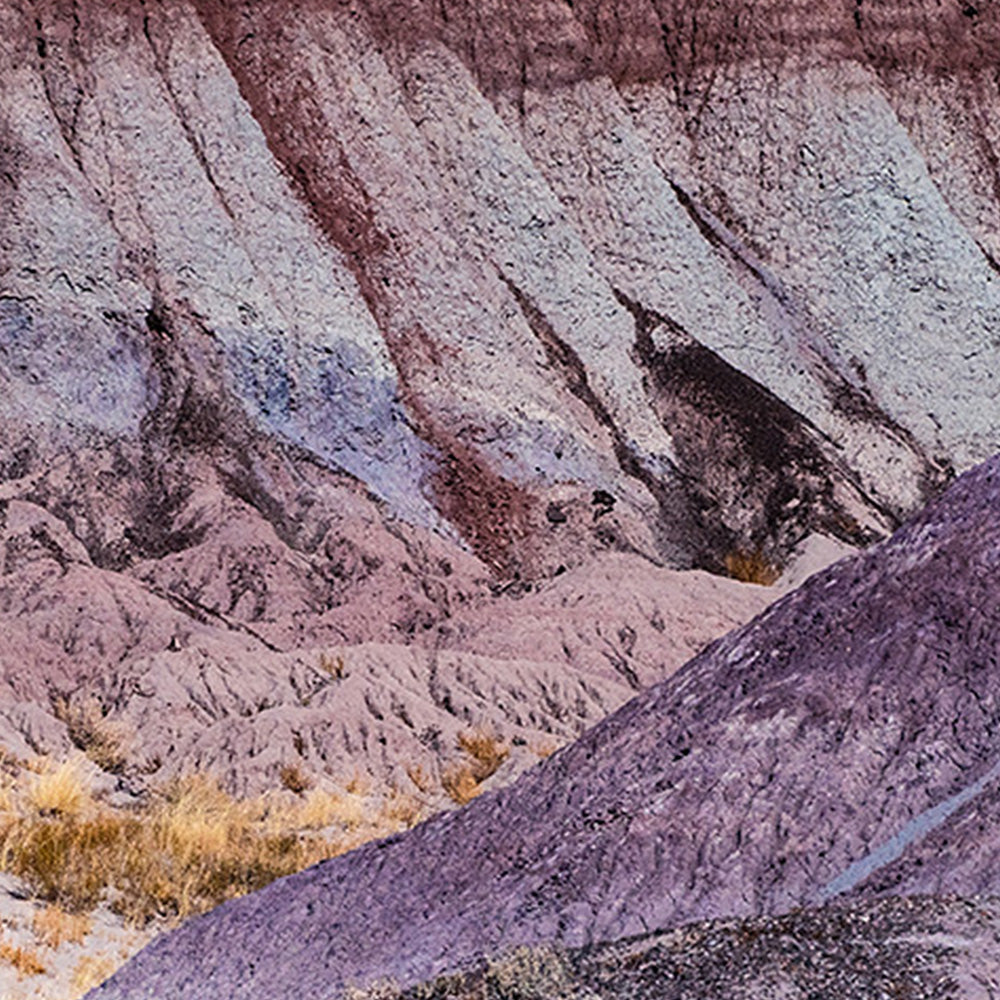 Photograph by Brian Merriam