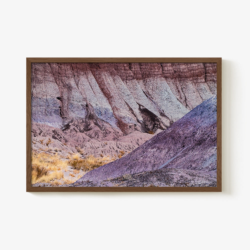 Photograph by Brian Merriam