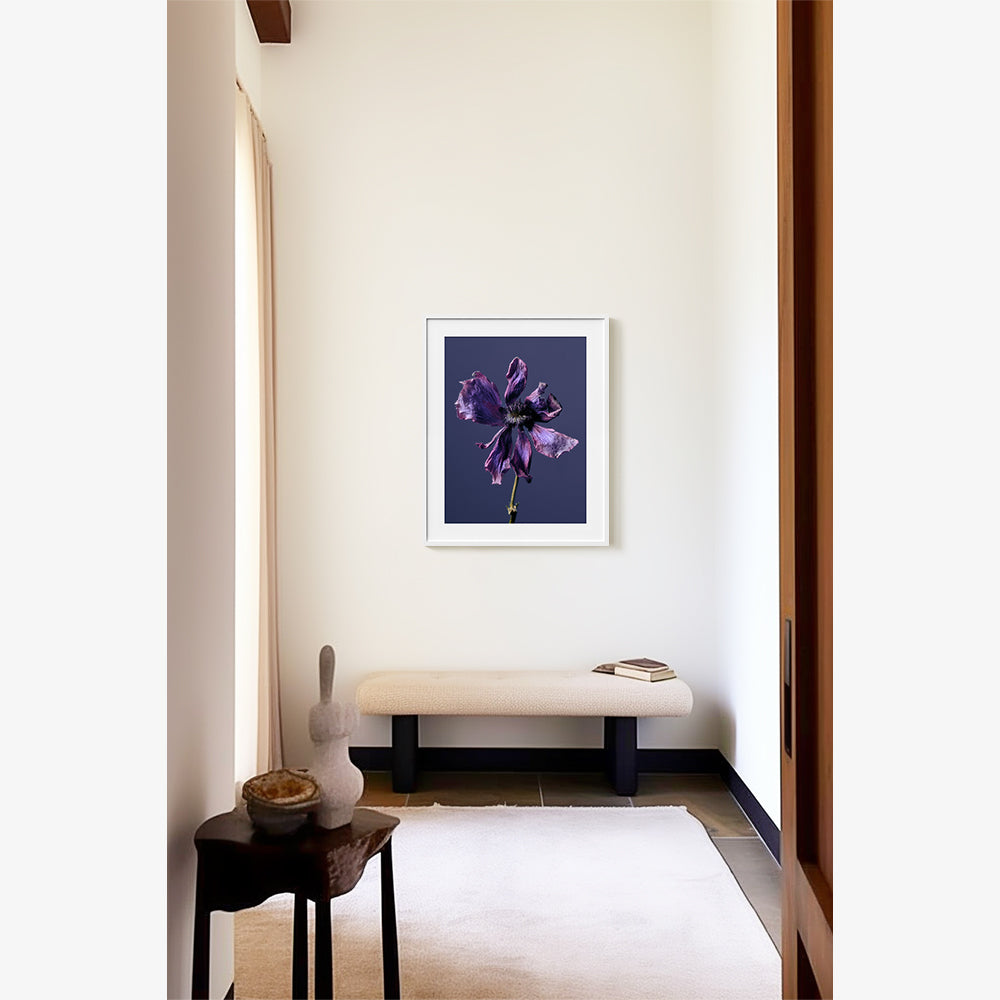 Photography by Jacques Brun