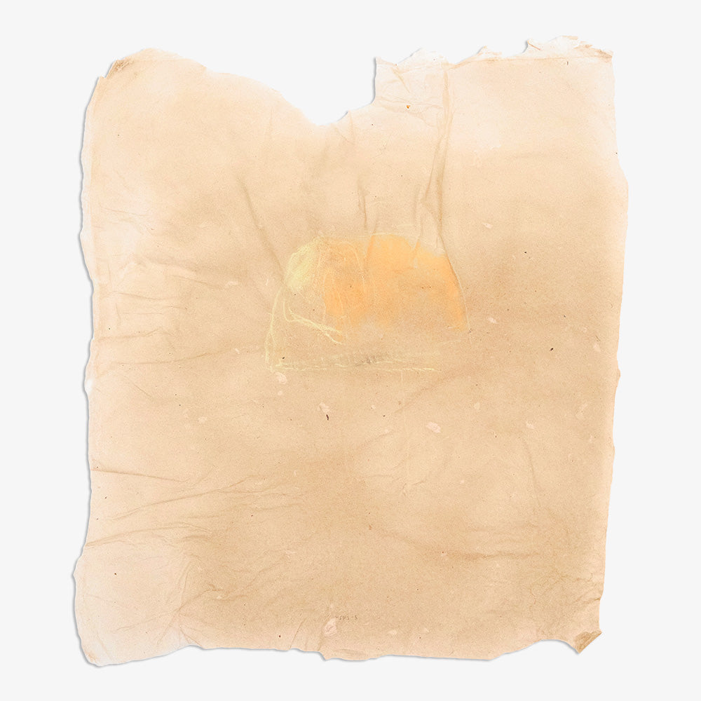 Work on Paper by Catherine Lucky Chang