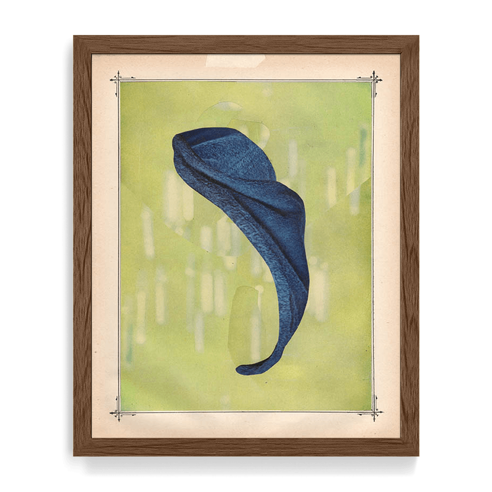 Print by Michael DeSutter
