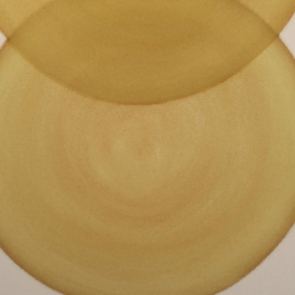 Circles in Ochre n.3