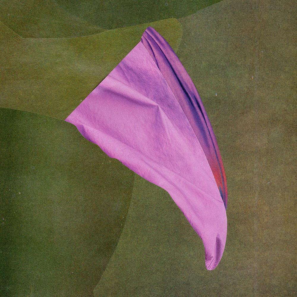 Collage by Michael DeSutter