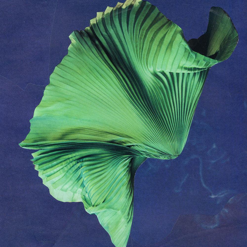 Collage by Michael DeSutter