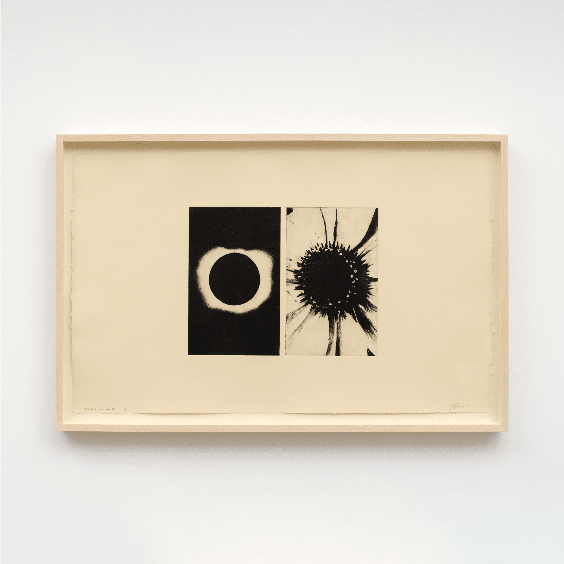 Print by Mike McMullen