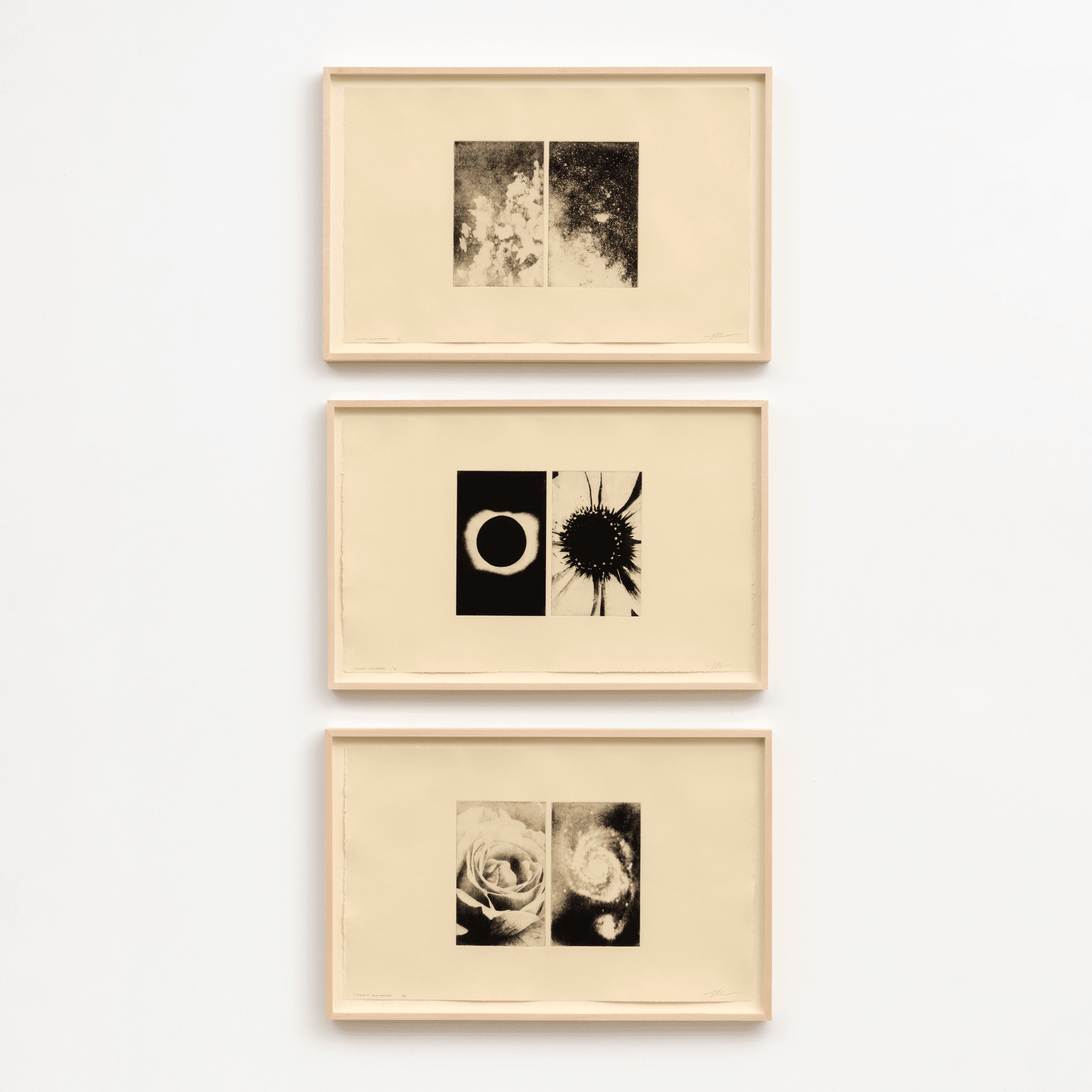 Print by Mike McMullen