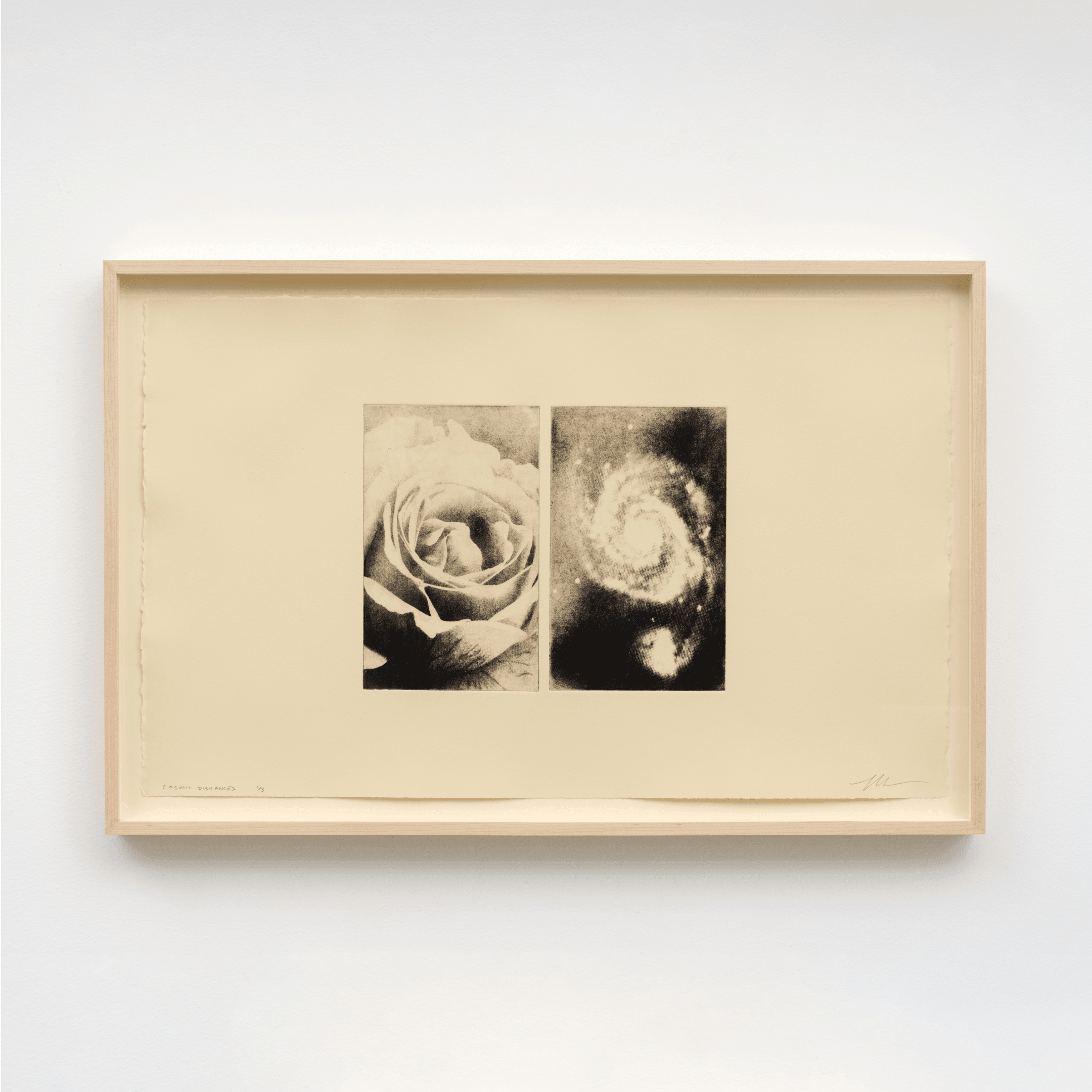 Print by Mike McMullen