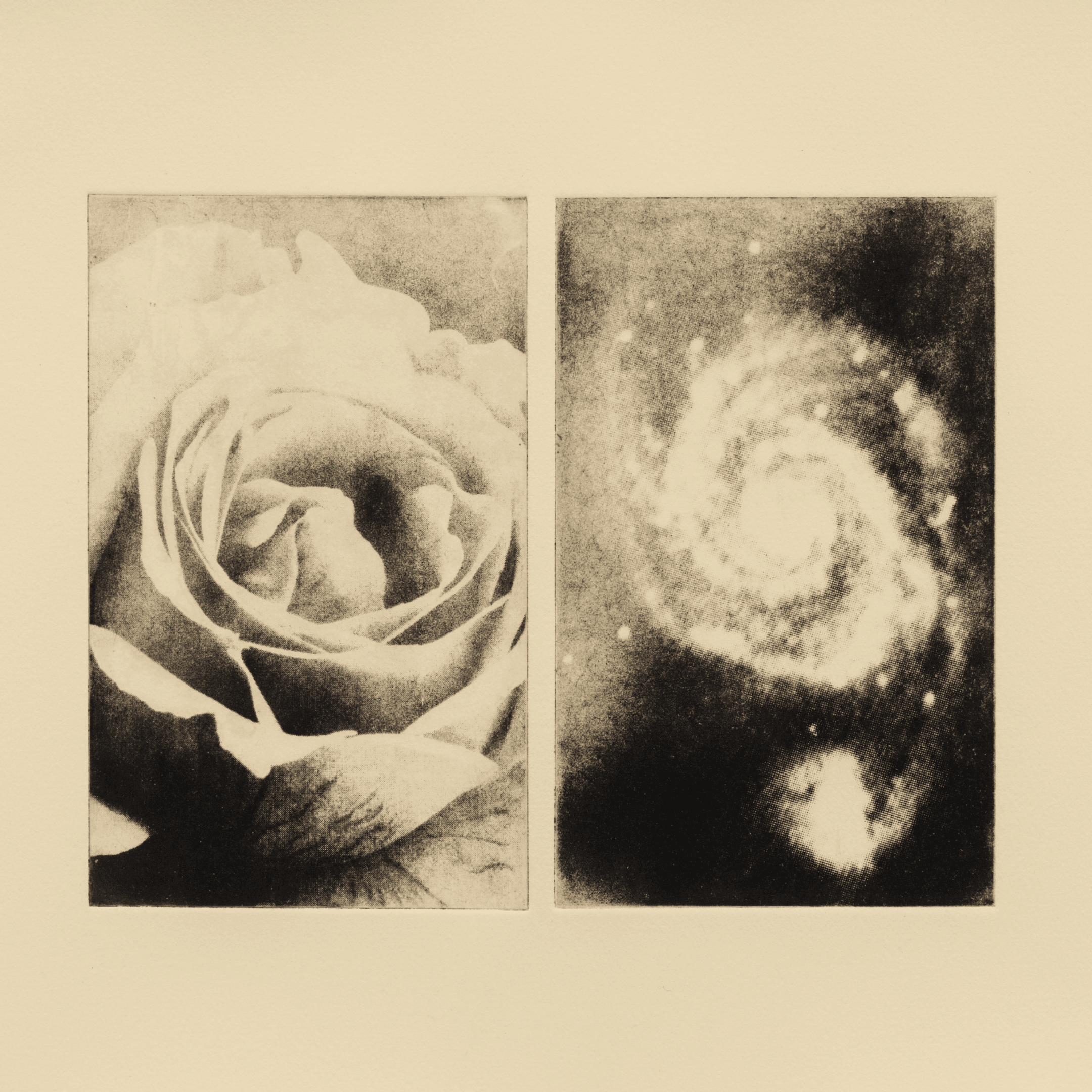 Print by Mike McMullen