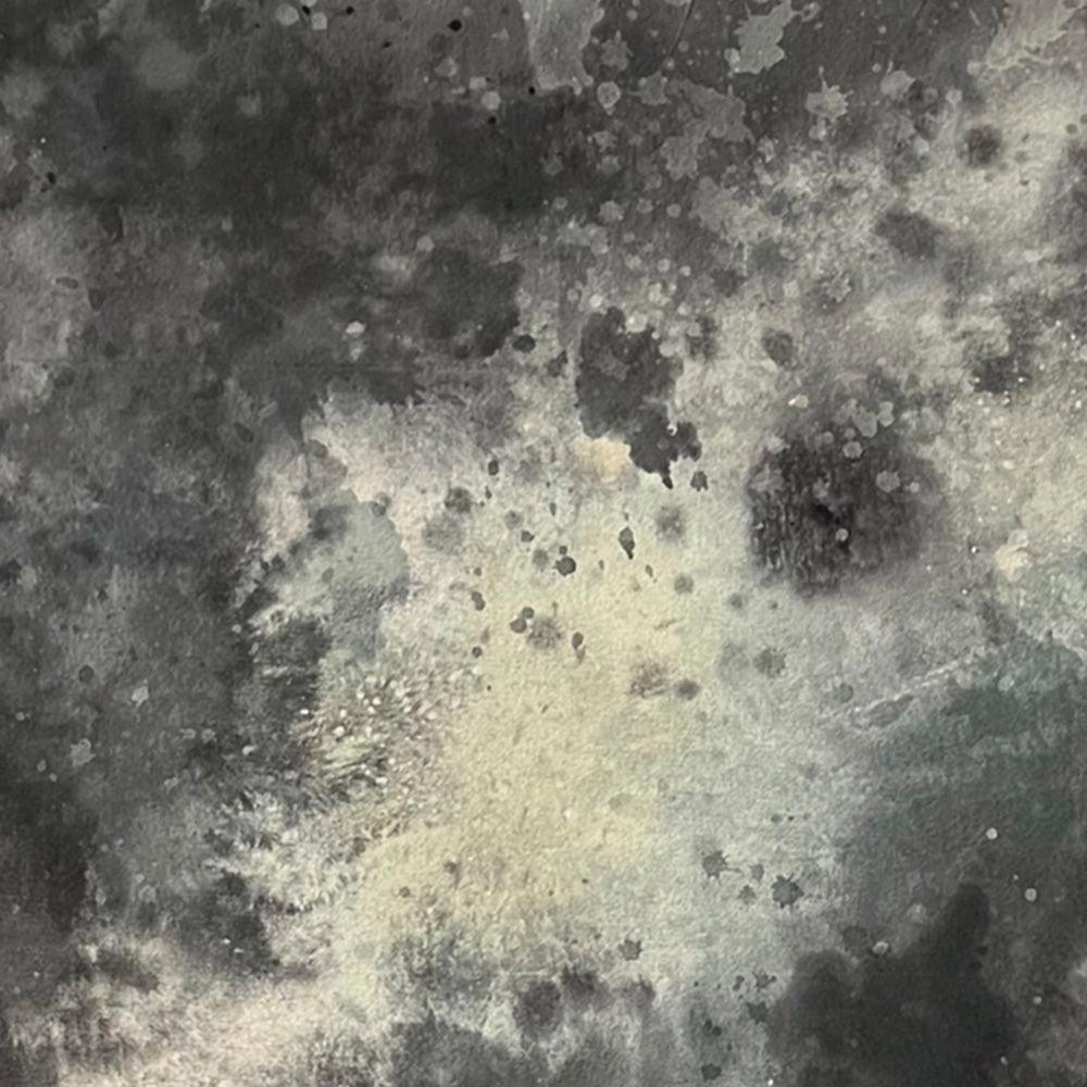 Painting by Sarah White
