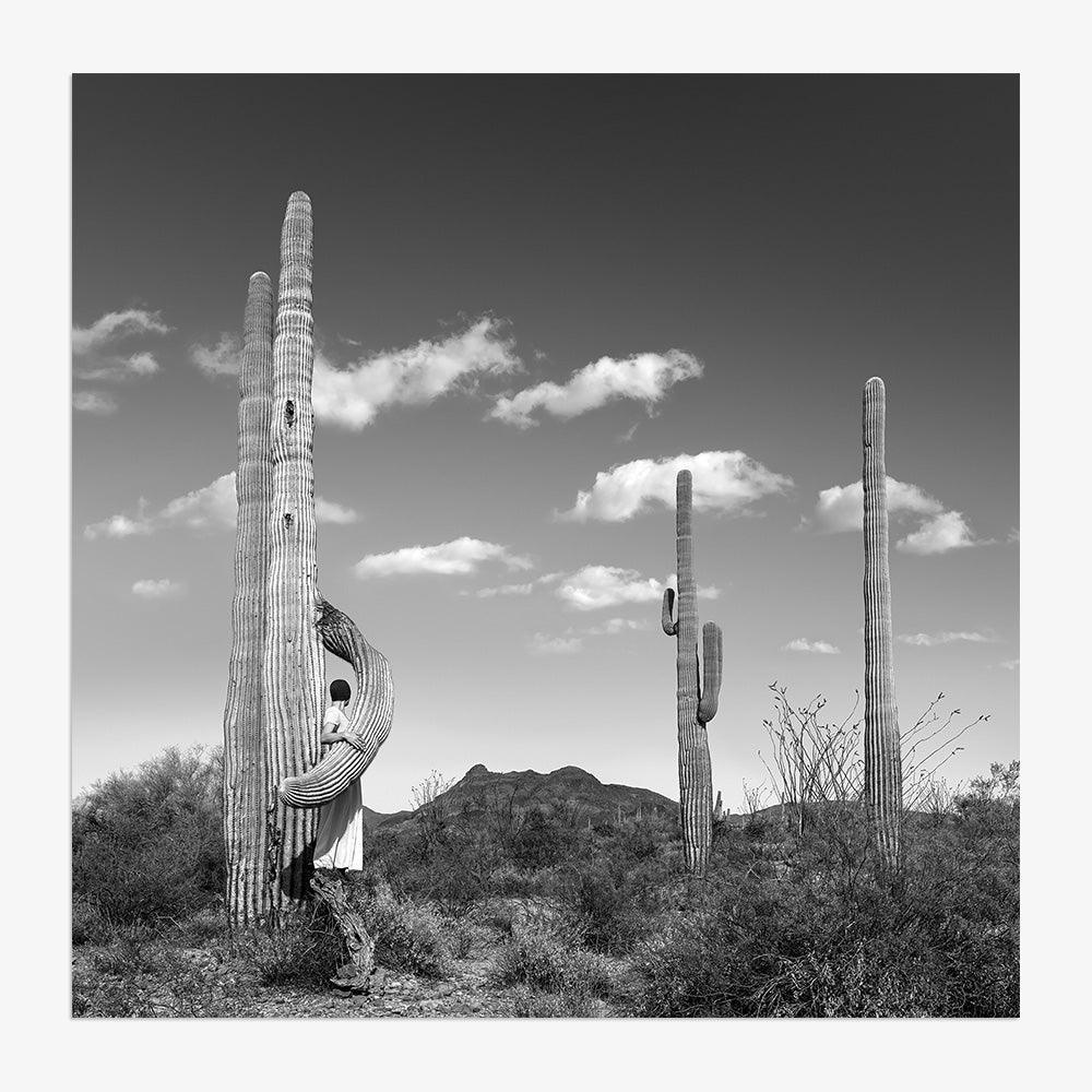 Photograph by Astrid Verhoef