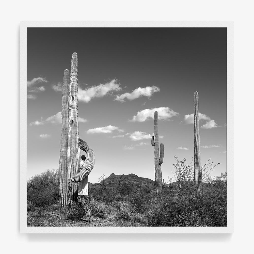 Photograph by Astrid Verhoef