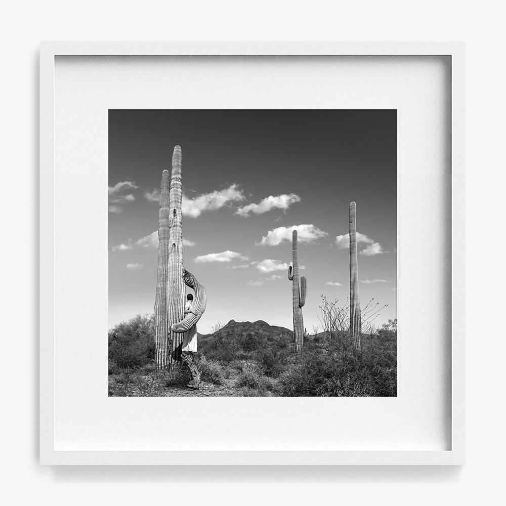 Photograph by Astrid Verhoef