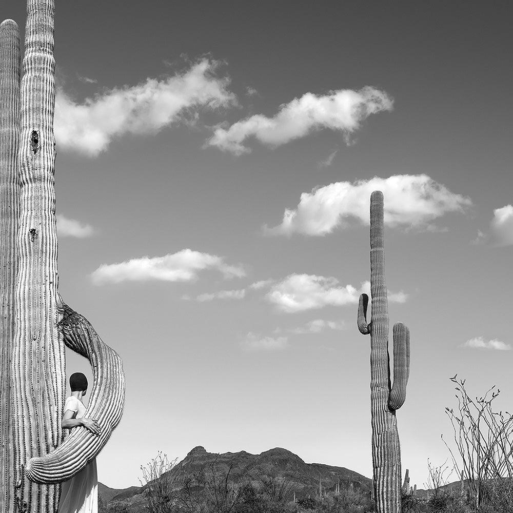 Photograph by Astrid Verhoef