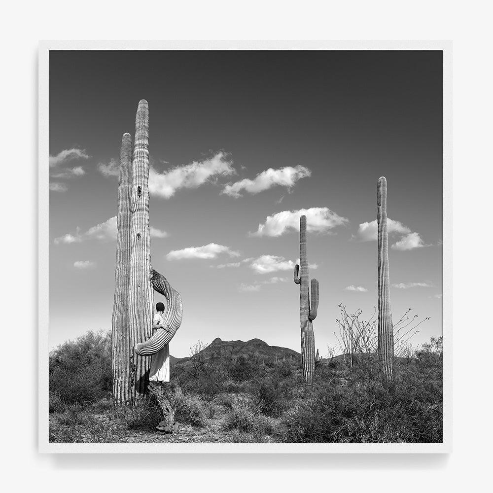 Photograph by Astrid Verhoef