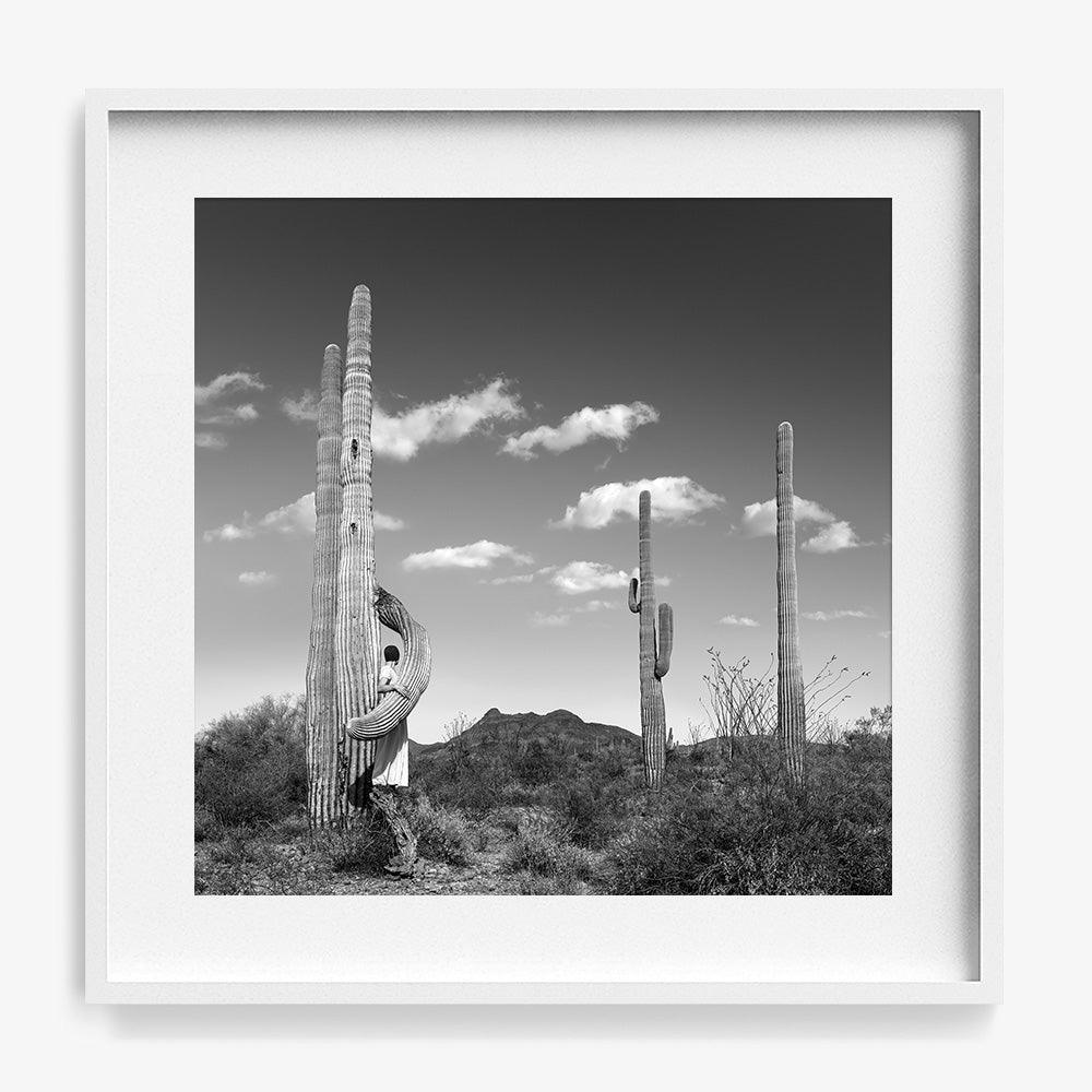 Photograph by Astrid Verhoef