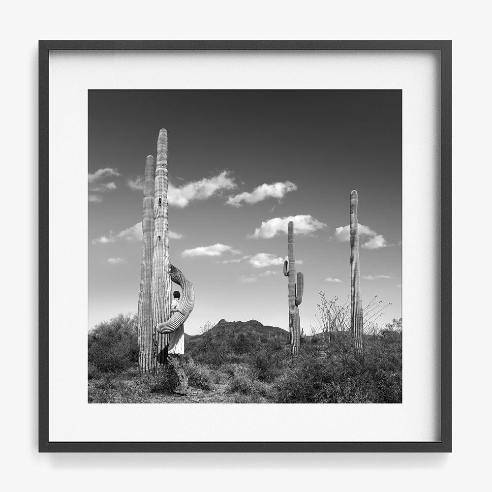 Photograph by Astrid Verhoef