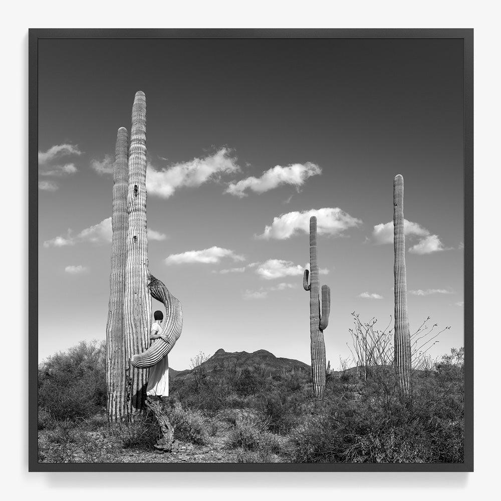 Photograph by Astrid Verhoef