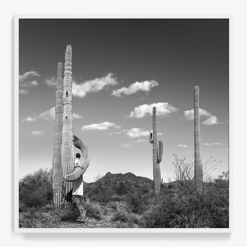 Photograph by Astrid Verhoef