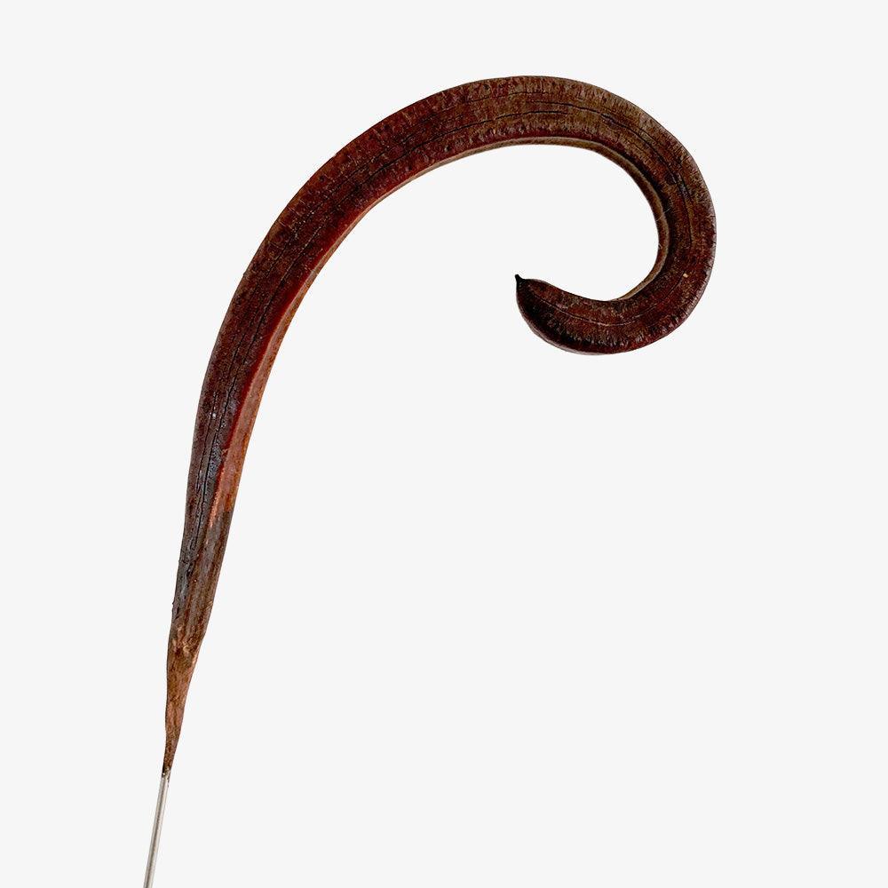 Fiddleheads , Installation by Fiddleheads Tappan