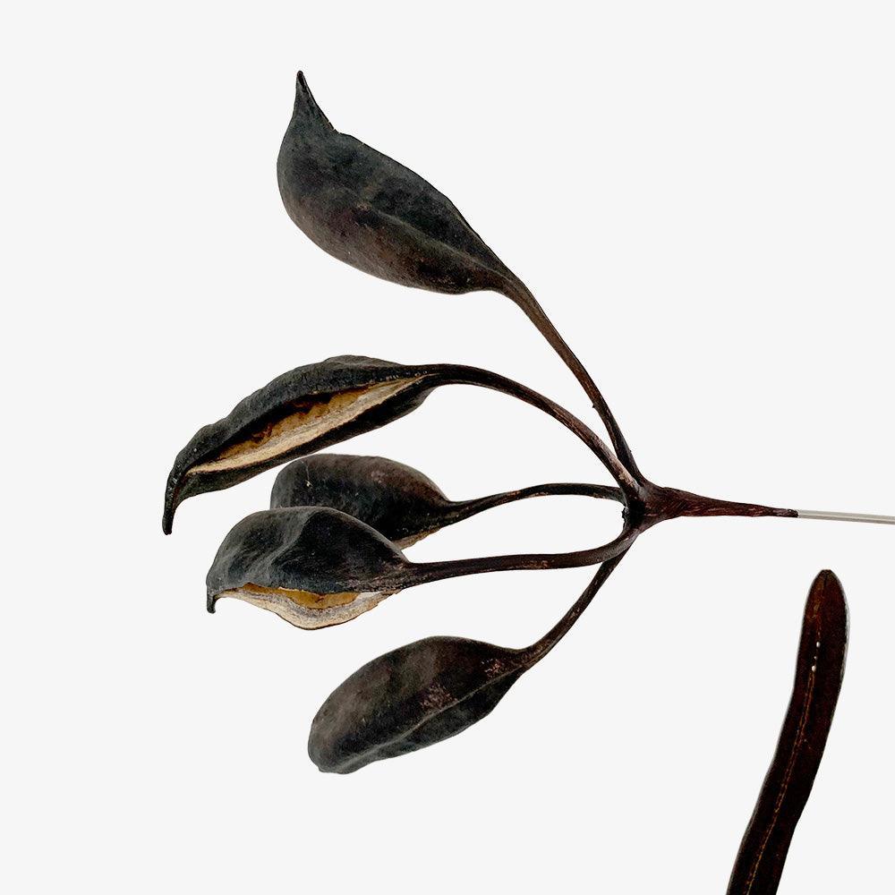 Installation by Karolina Maskiewicz