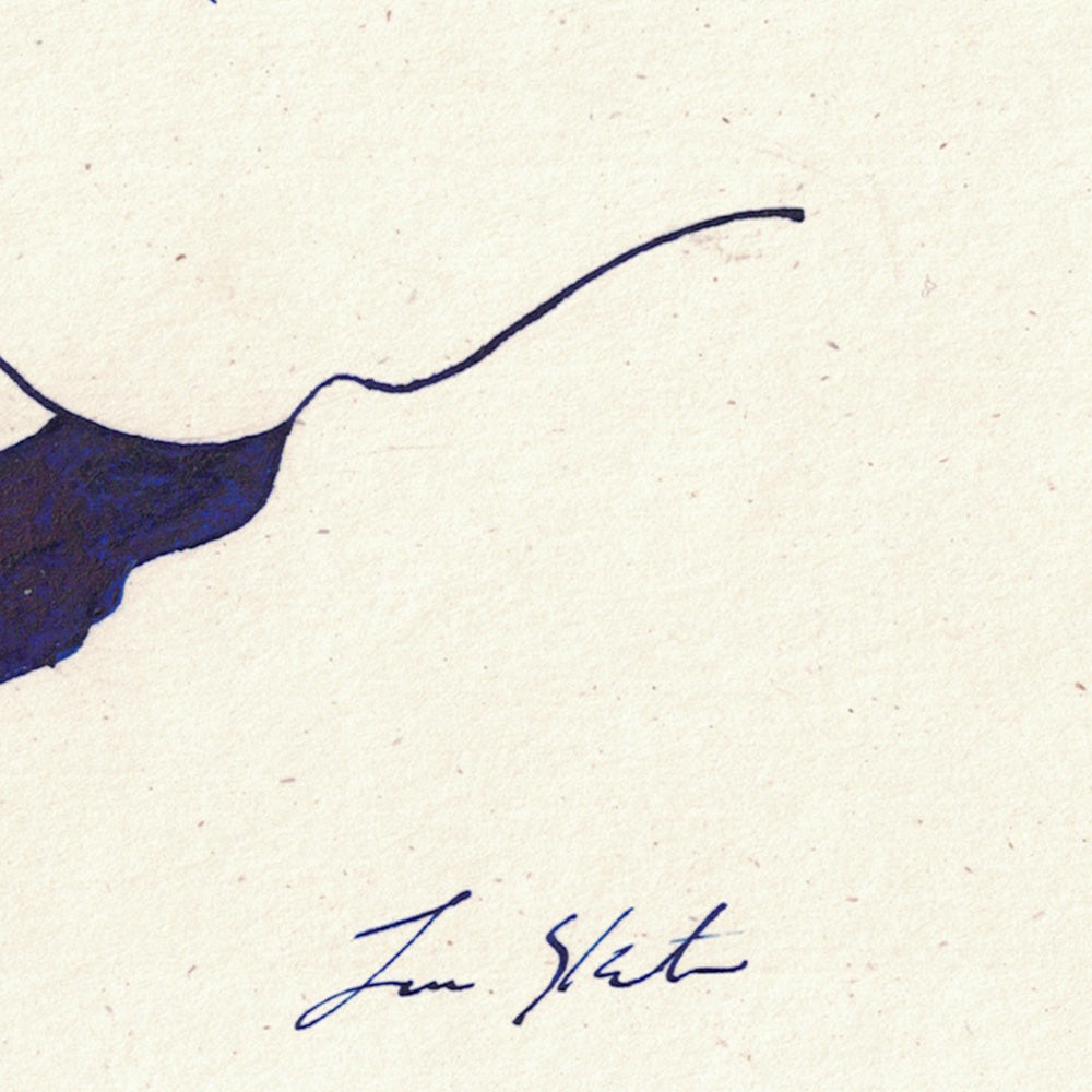Drawing by Lauren Skunta
