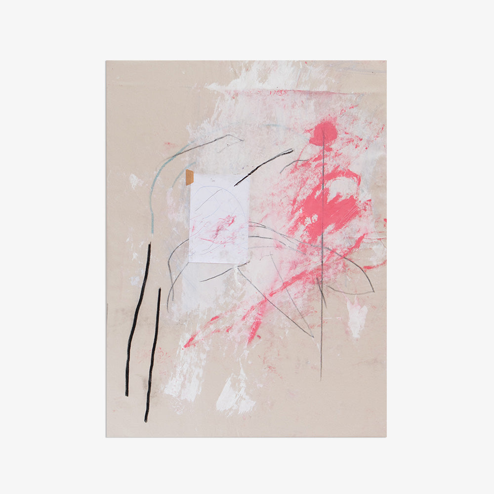 Flamingo Wings 2