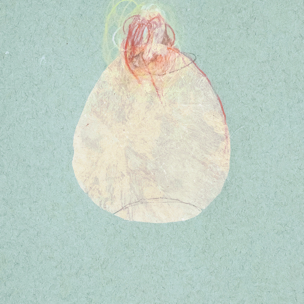 Work on Paper by Catherine Lucky Chang