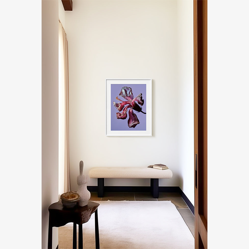 Photography by Jacques Brun