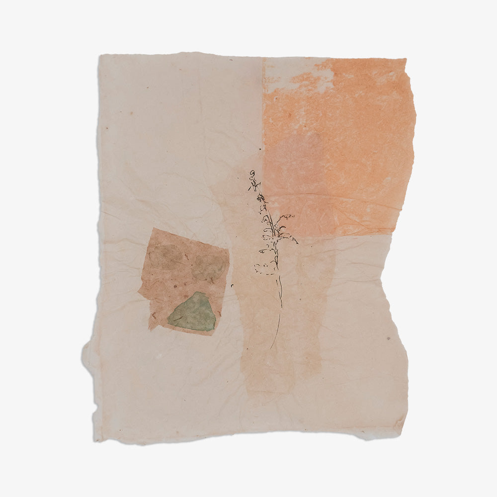 Work on Paper by Catherine Lucky Chang