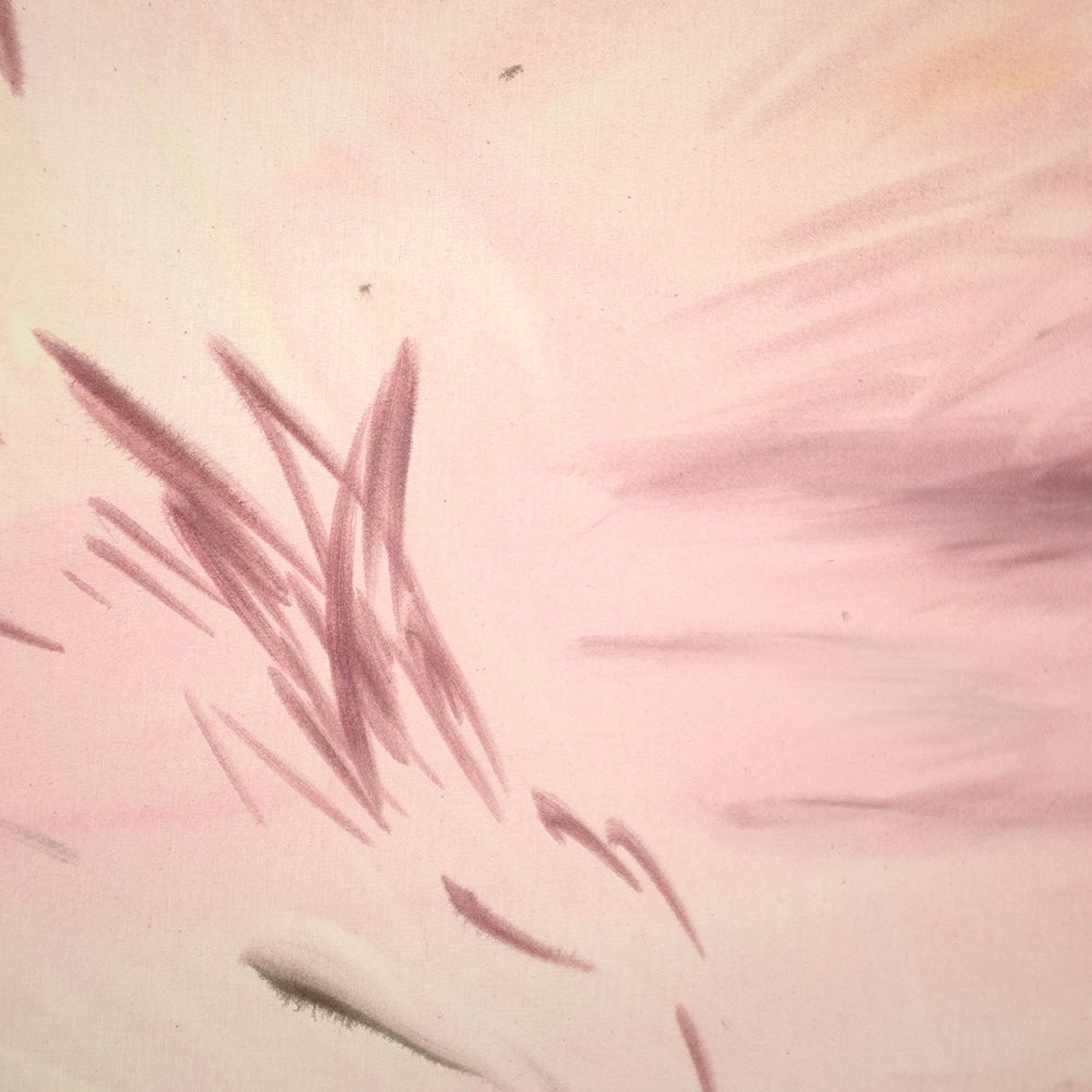 Hopkinsia rosacea