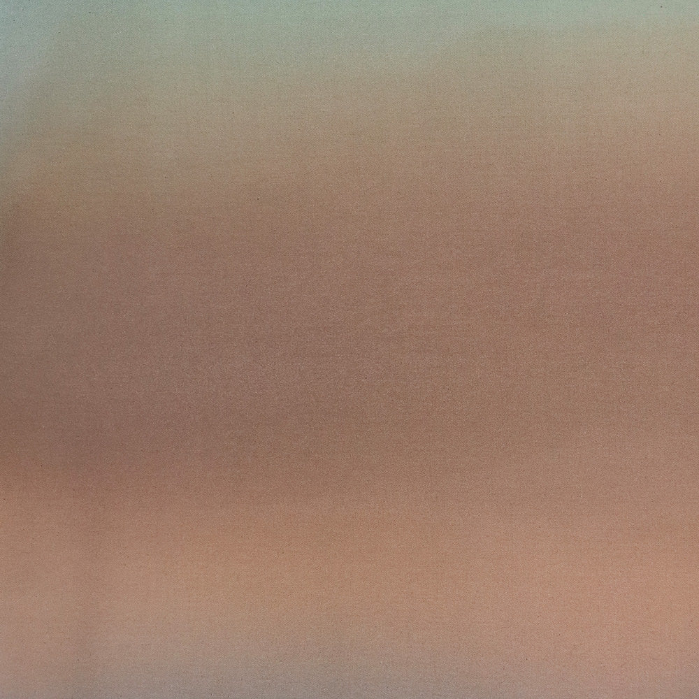 Painting by Ali Enache