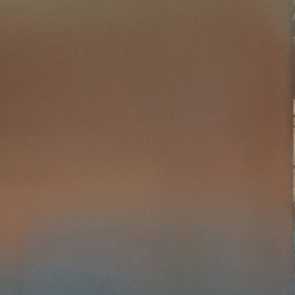 Painting by Ali Enache