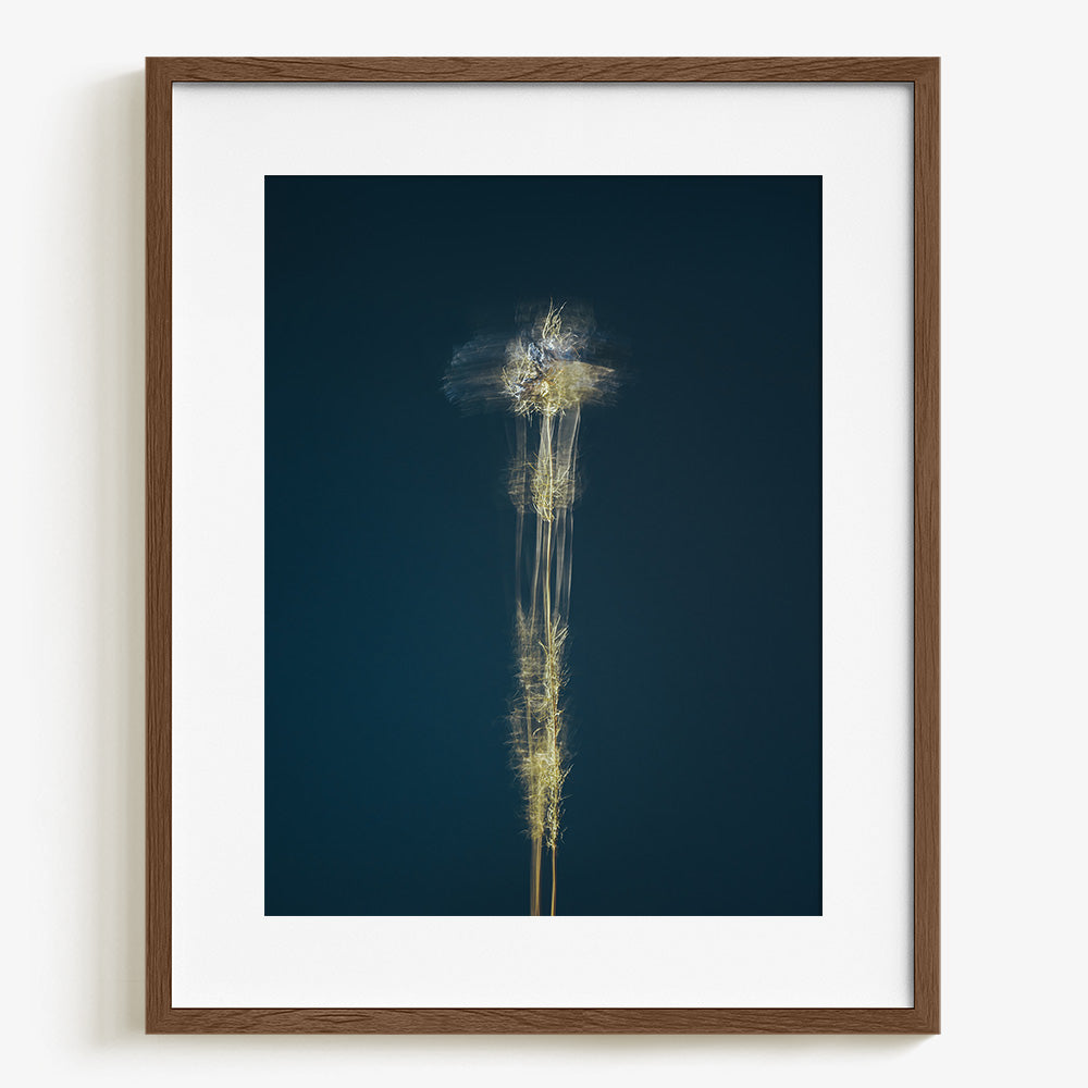 Photograph by Jan Prengel