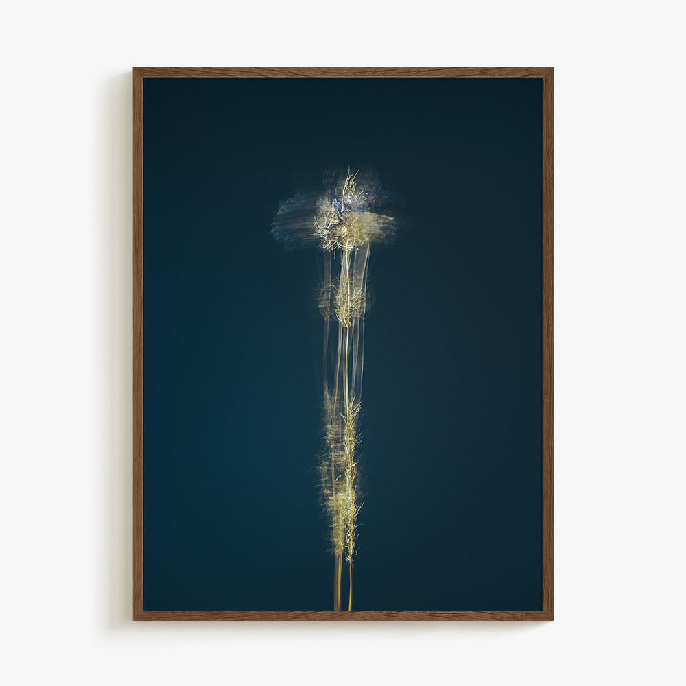 Photograph by Jan Prengel